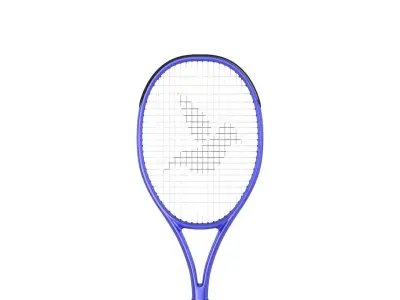 Tennis Racket 3D model