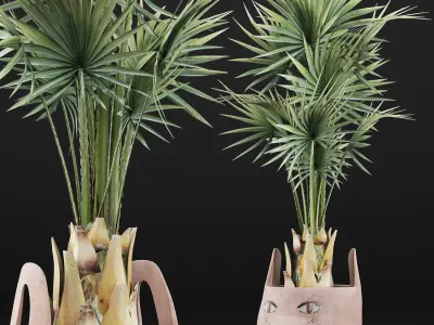 Plants Collection 143 Sabal Minor 3D model