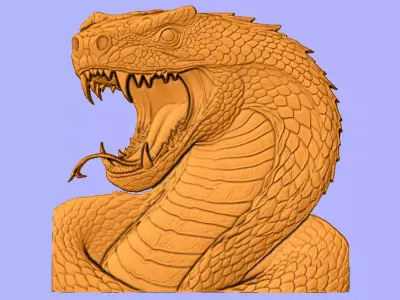 NAJA BAS RELIEF  3D model