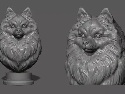 Pomeranian with a closed mouth 3D print model