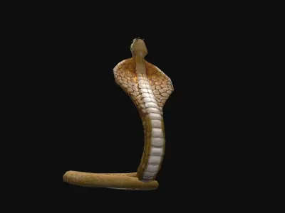 animated cobra snake Low-poly 3D model