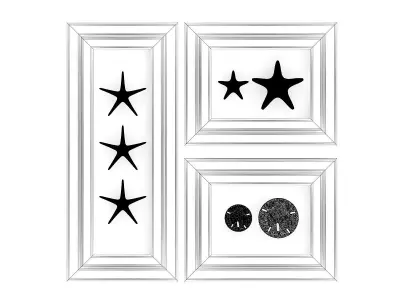Starfish Wall Decoration 3D model
