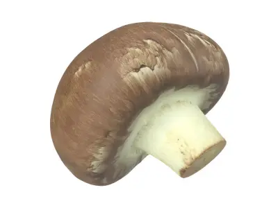 Photorealistic Mushroom 3D Scan 3D model