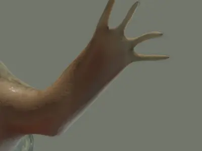 Frog  Lab  Frog   Xenopus laevisis Low-poly 3D model