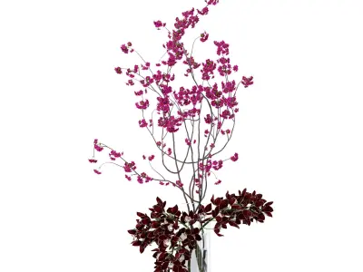 Cymbidium orchid and cherry branches 3D model