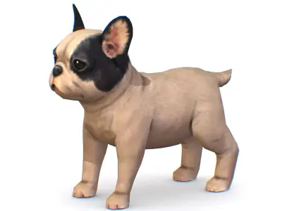 Beige French Bulldog Dog Puppy Low-poly 3D model