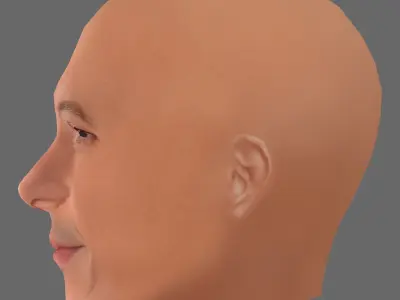 Vin Diesel Head - Lowpoly head for game Low-poly 3D model