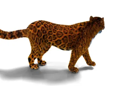Fur Leopard Rigged  Low-poly 3D model
