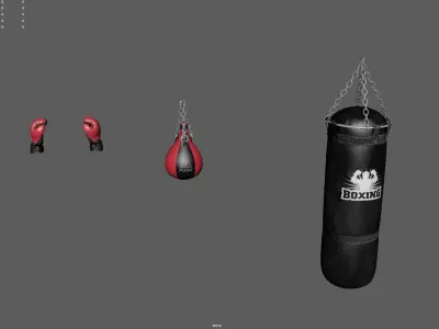 BOXING EQUIPMENT 3D model
