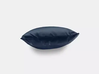 SANELA Cushion cover 9 1 Low-poly 3D model