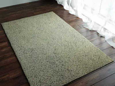 Tristan Wool Rugs 3D model