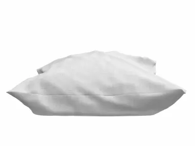 Solid Pillow 12 3D model