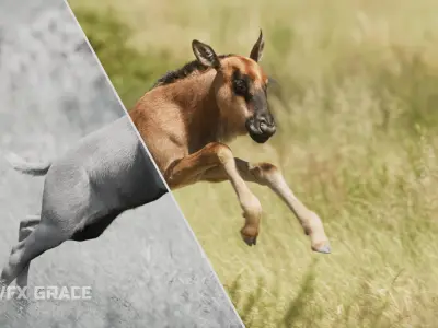 Baby Wildebeest  UE Character Asset 3D model