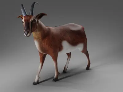 Goat 04 Rigged and Animation Low-poly 3D model