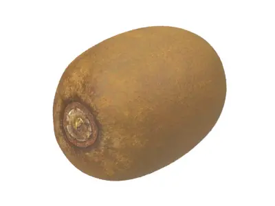 Photorealistic Kiwi 3D Scan 3D model