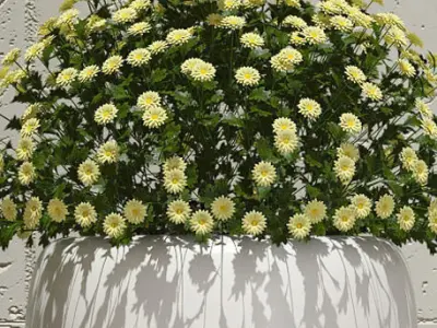 Plant planter with flowers 3D model