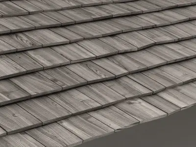 Rooftiles shingle roof 3D model