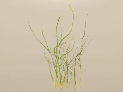 Realistic Grass Pack For Games Free low-poly 3D model