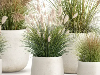 Reeds in a concrete flowerpot for the interior 1094 3D model