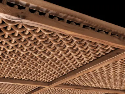 Ceiling crooked thick branch rattan n1 3D model