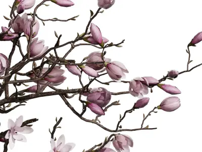 Flower In Vase  29 3D model