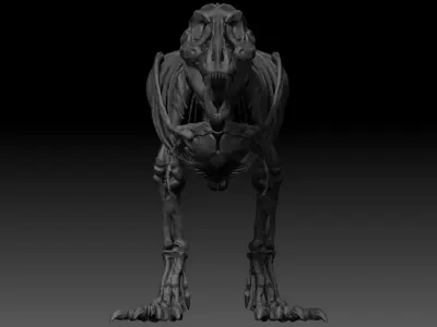 Dinosaur  Tyrannosaurus Rex Complete Skeletons TREX Adult SUE 3D model