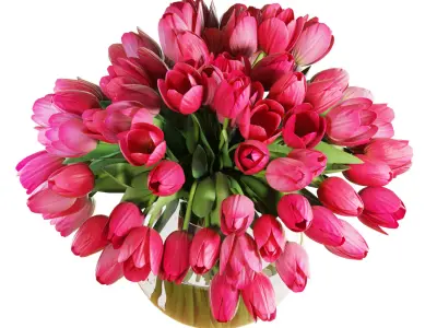 Flower Set 19 - Pink Tulips Bouquet 3D model