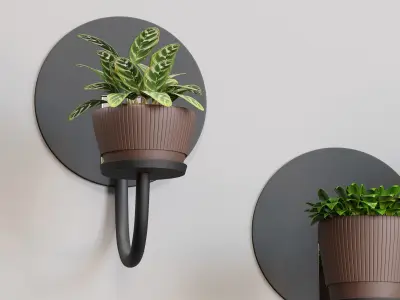 indoor collection plants 001 3D model