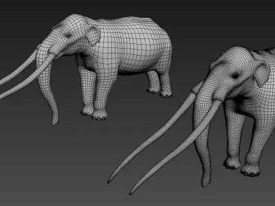 Anancus arvernensis Low-poly 3D model