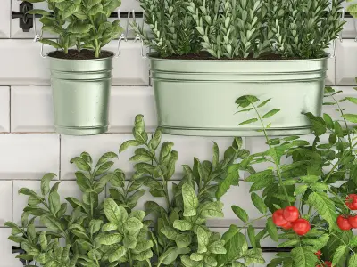 Decorative plants for the kitchen on railing 380 2 3D model