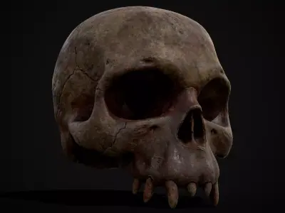 Child Vampire Skull Low-poly 3D model