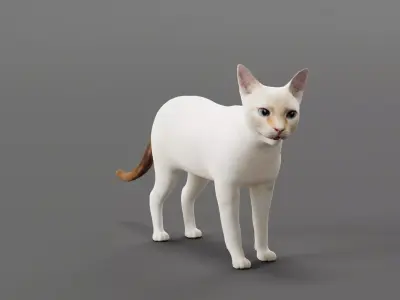Flame Point Red Siamese Cat Low-poly 3D model