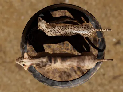 Lion Asset - Digital Model and Textures Low-poly 3D model