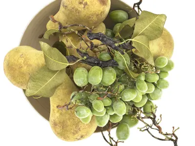 bowl of pears and grapes 3D model