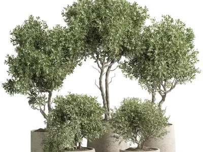 Indoor plant 02 3D model purchase