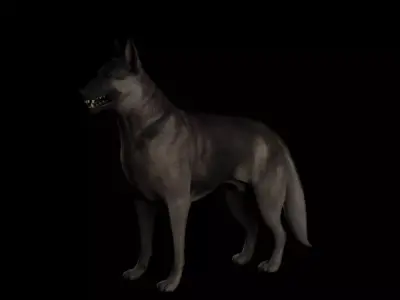 Shepherd dog 3d model 3D model