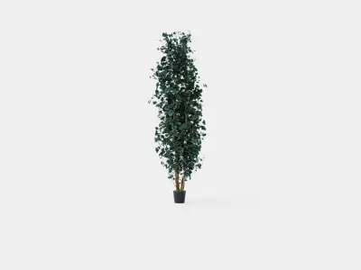 Potted Plant Low-poly 3D model