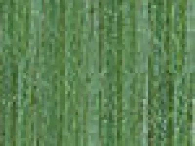 table dining and chairs 3D model