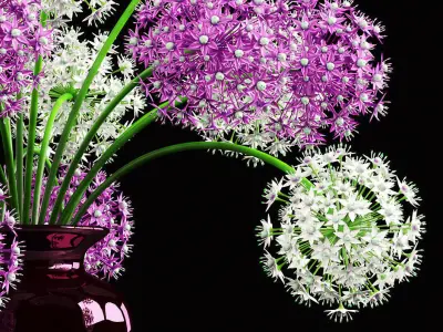 ONION GAINT 3D model