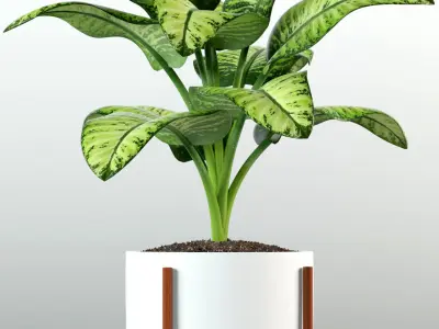 Plants collection 79 Modernica pots 3D model