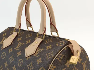 Louis Vuitton Bag 01 3D model