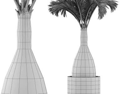 Plants Collection 131 Big Palm 3D model