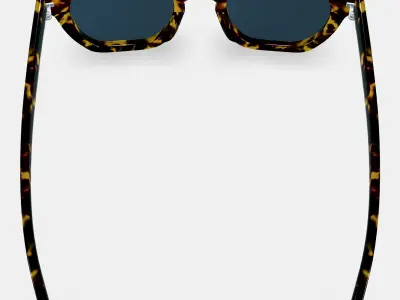 Terrell Sunglasses in Black Oak Tortoise 3D model