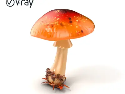 Chanterelle Mushroom Realistic Model Pack Low-poly 3D model