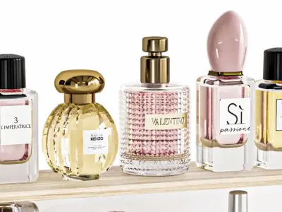 Set of perfumes for the bathroom or beauty salon 3D model