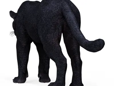 Black Panther Low-poly 3D model