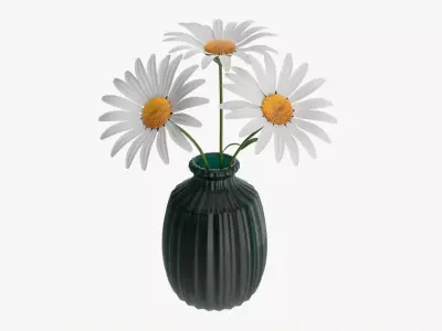 Vase with daisies 3D model