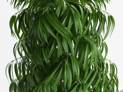 plants set 153 3D model