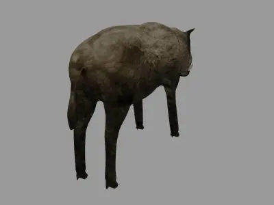 Boar - Javali Low-poly 3D model