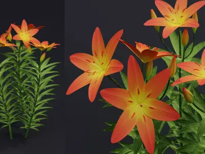 Lilium Lily Plant Low-poly 3D model